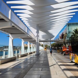 Palmeral muelle de Málaga