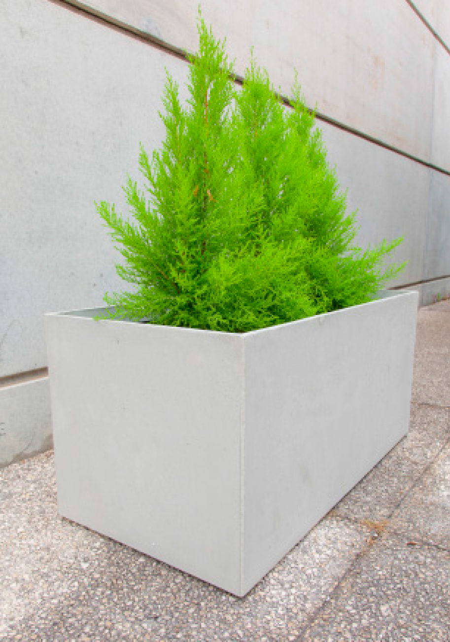 JARDINERA_205-2