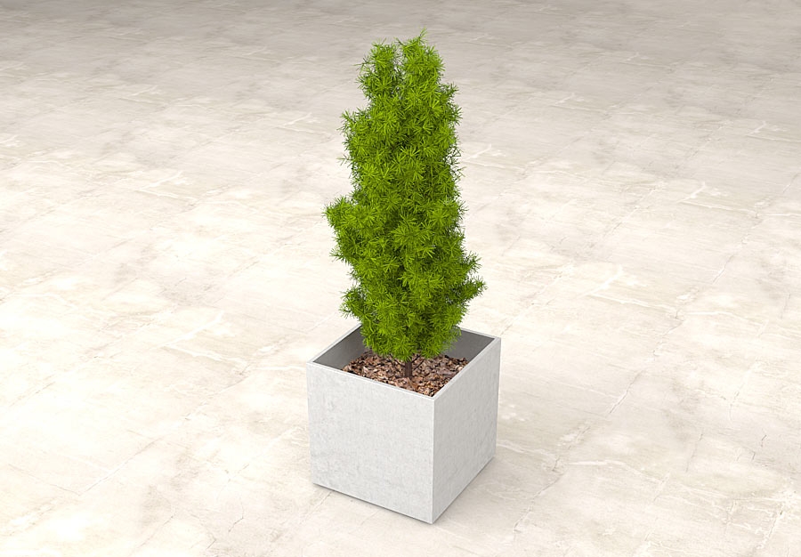 JARDINERA_212-2