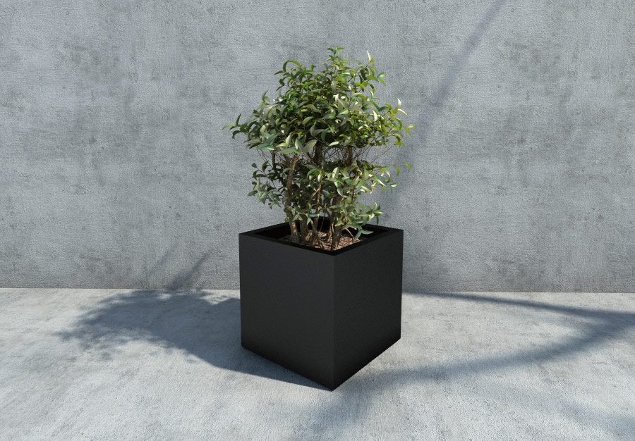 JARDINERA_222-3